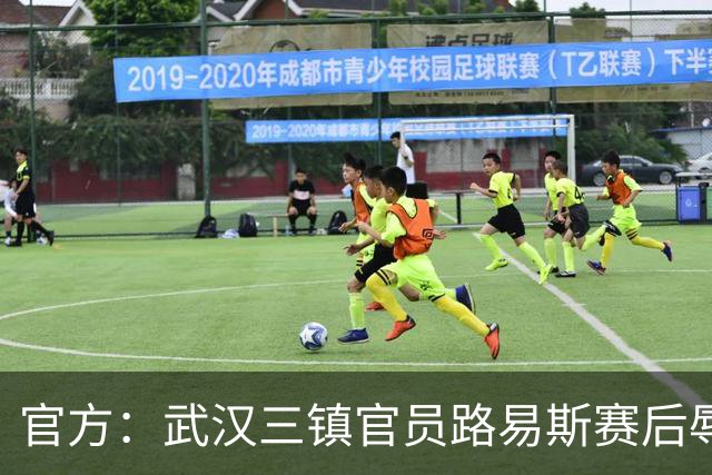 官方：武汉三镇官员路易斯赛后辱骂裁判员，被禁赛5场并罚款5万元
